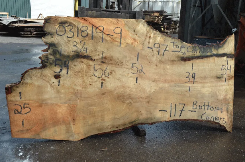 031819-09 Big Leaf Maple Slab