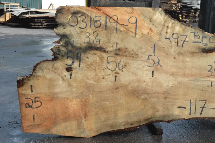 031819-09 Big Leaf Maple Slab