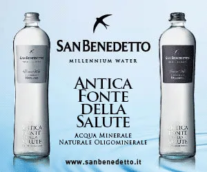 Antica Fonte Della Salute : Still-Artisan Water / San Benedetto 21oz. ( Case of 15)