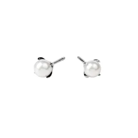 Dainty Stud Pearl Earrings