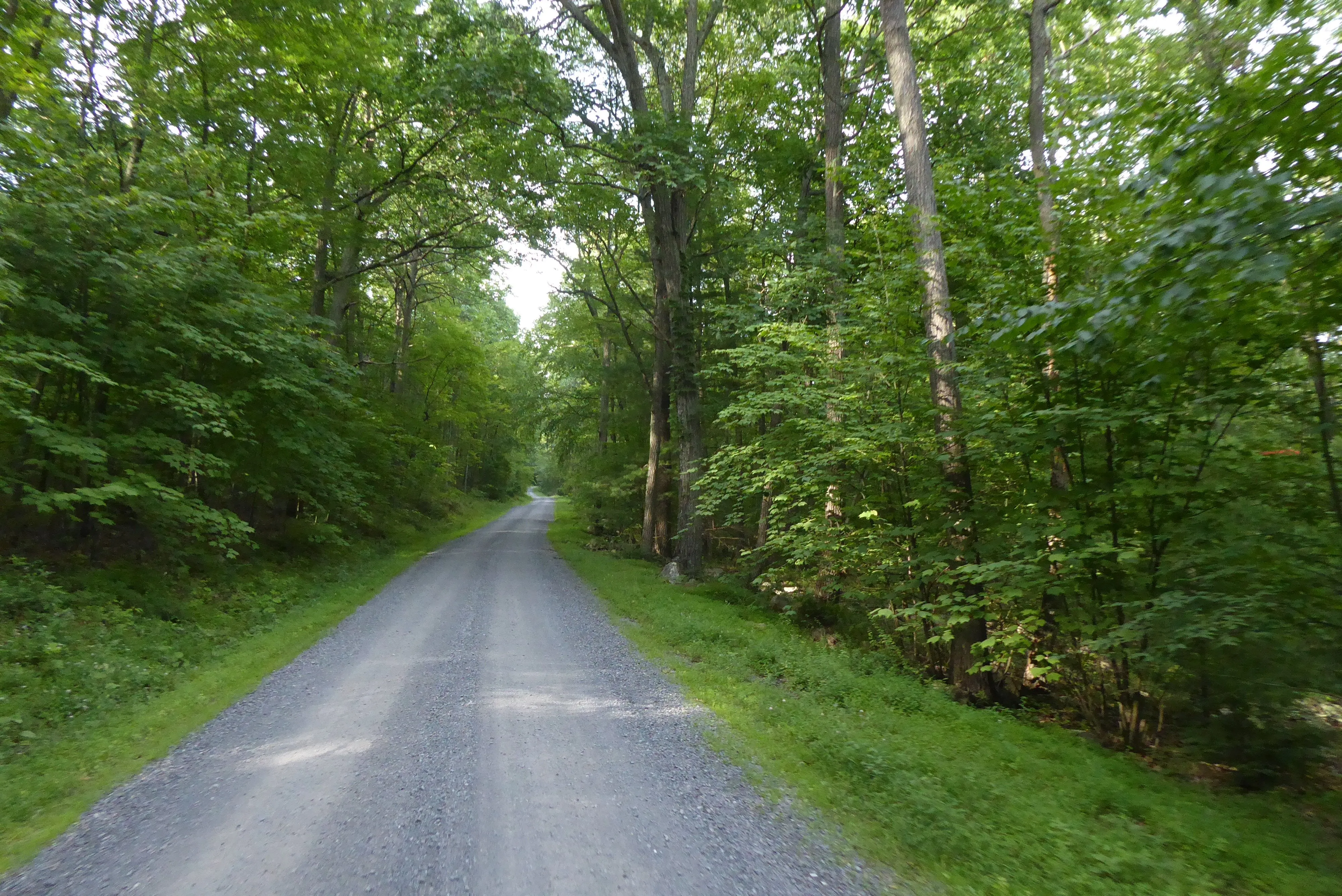 Rothrock Lizard Map 7th Edition, Pennsylvania